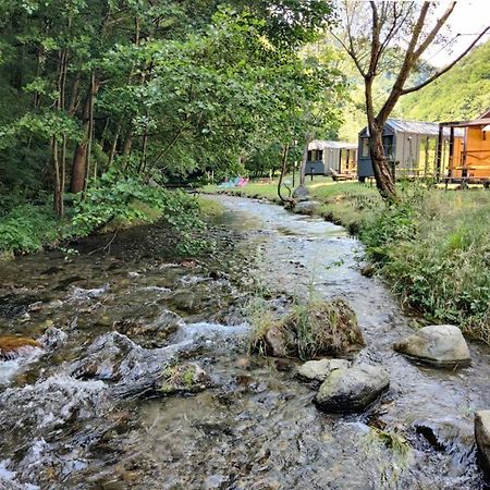 Transfagarasan River Retreat أريفو المظهر الخارجي الصورة