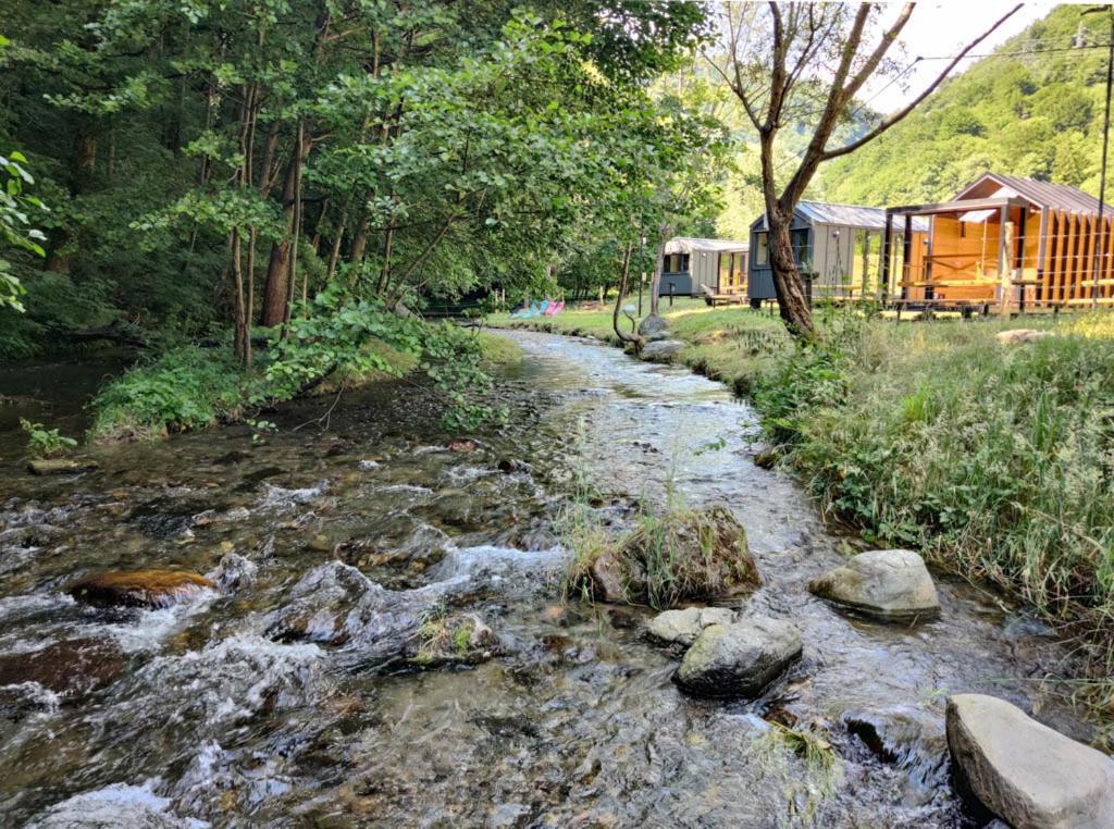 Transfagarasan River Retreat أريفو المظهر الخارجي الصورة